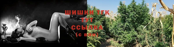 эйфоретик Елабуга