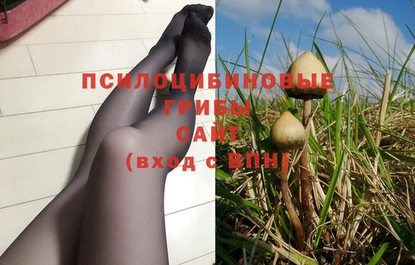 мяу мяу кристалл Ельня