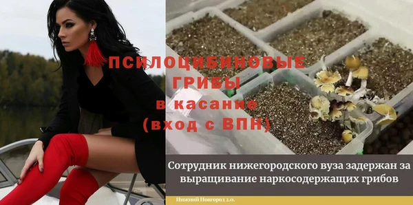 марки nbome Елизово